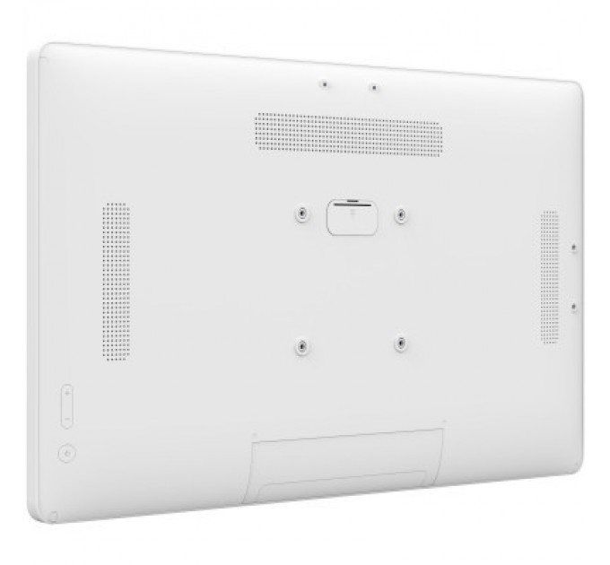 iiyama Монітор iiyama TW2424AS-W1