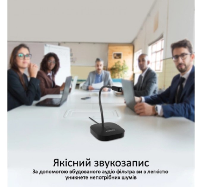 Promate Мікрофон Promate ProMic-1 USB Black (promic-1.black)