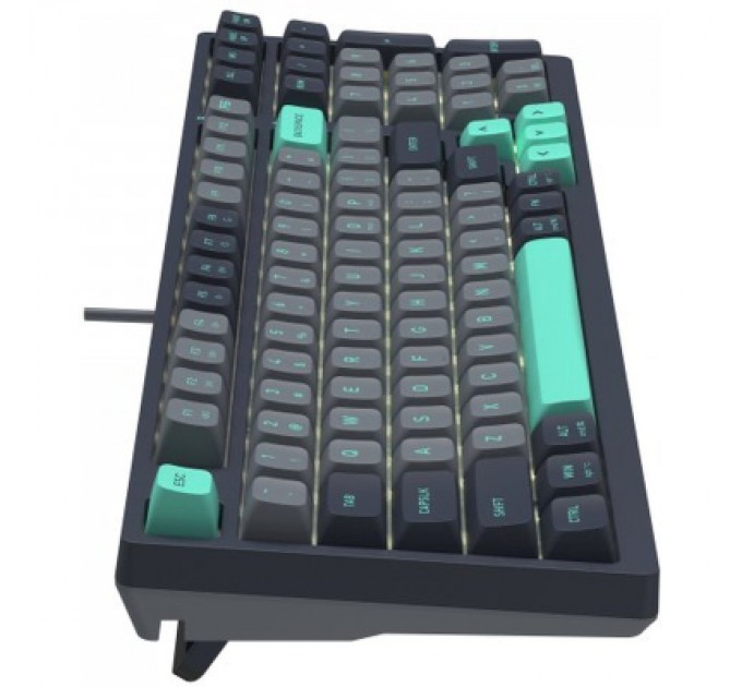 A4Tech Клавіатура A4Tech FS300 FS Switches USB Panda Rock Climbin (4711422003086)