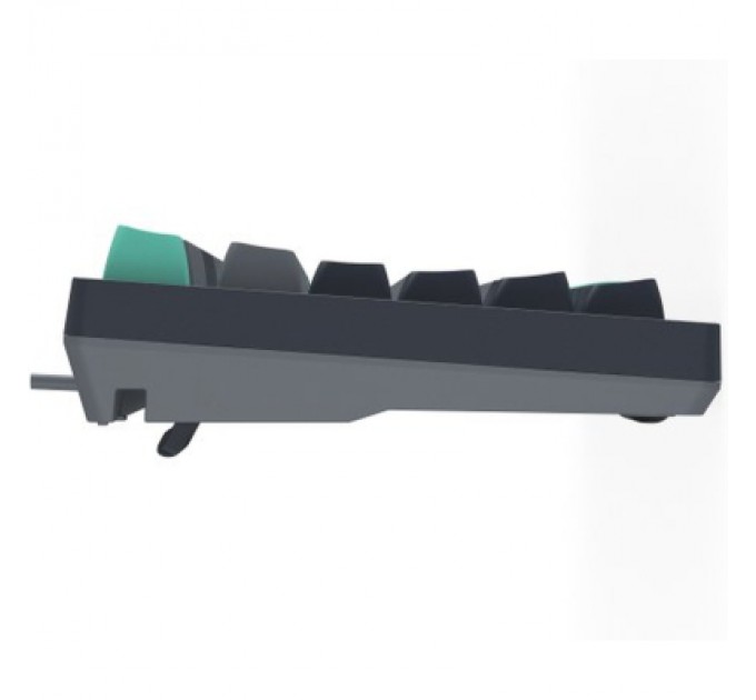 A4Tech Клавіатура A4Tech FS300 FS Switches USB Panda Rock Climbin (4711422003086)