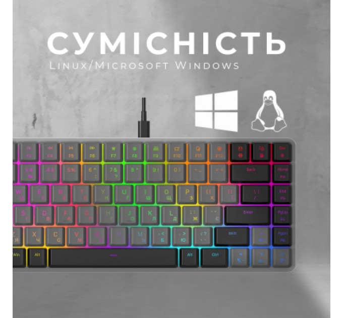 GamePro Клавіатура GamePro MK141R Red Swich Low Profile RGB USB Dark Gray (MK141R)