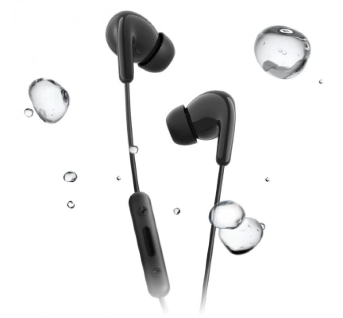 Xiaomi Навушники Xiaomi Type-C Earphones Black (1071791)