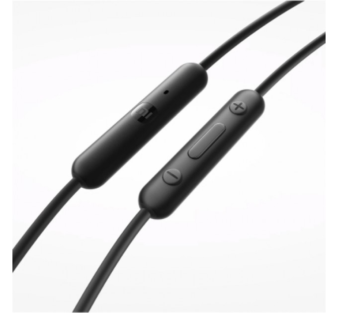 Xiaomi Навушники Xiaomi Type-C Earphones Black (1071791)
