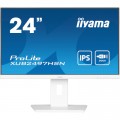 iiyama Монітор iiyama XUB2497HSN-W2