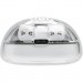 JBL Навушники JBL Tune Flex 2 Ghost White (JBLTFLEX2GWHT)