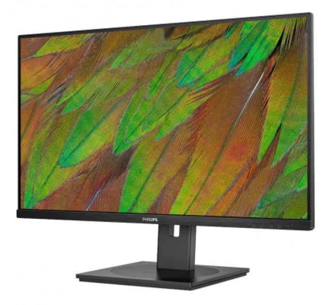 Philips Монітор Philips 32B1N3800/00