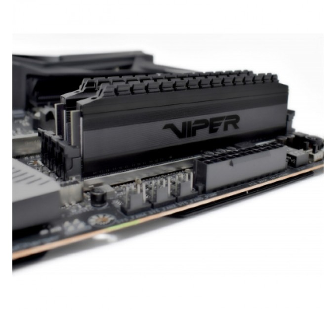 Patriot Модуль пам'яті для комп'ютера DDR4 16GB (2x8GB) 3600 MHz Viper 4 Blackout Patriot (PVB416G360C8K)