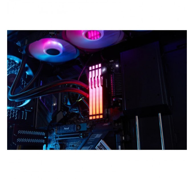 Kingston Fury (ex.HyperX) Модуль пам'яті для комп'ютера DDR5 32GB 5200 MHz Beast RGB Kingston Fury (ex.HyperX) (KF552C40BBA-32)