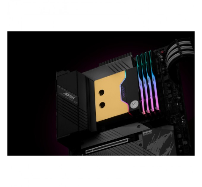 Ekwb Водоблок Ekwb EK-Quantum Velocity D-RGB - 1700 Nickel + Gold (3831109895351)
