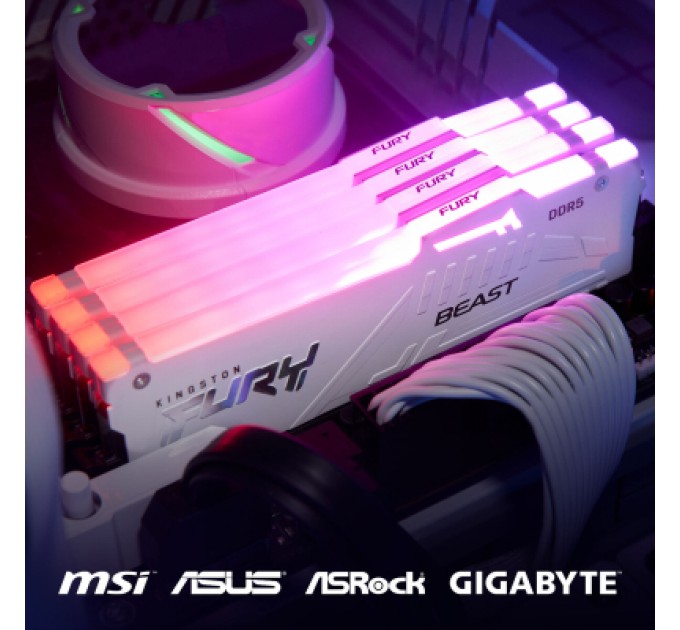 Kingston Fury (ex.HyperX) Модуль пам'яті для комп'ютера DDR5 16GB 6000 MHz Beast RGB EXPO White Kingston Fury (ex.HyperX) (KF560C36BWEA-16)