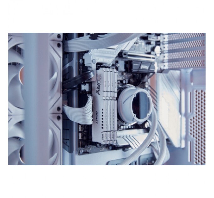 Kingston Fury (ex.HyperX) Модуль пам'яті для комп'ютера DDR5 32GB (2x16GB) 5200 MHz Beast EXPO White Kingston Fury (ex.HyperX) (KF552C36BWEK2-32)