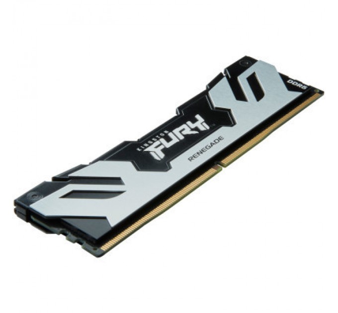 Kingston Fury (ex.HyperX) Модуль пам'яті для комп'ютера DDR5 24GB 6400 MHz Renegade Silver XMP Kingston Fury (ex.HyperX) (KF564C32RS-24)