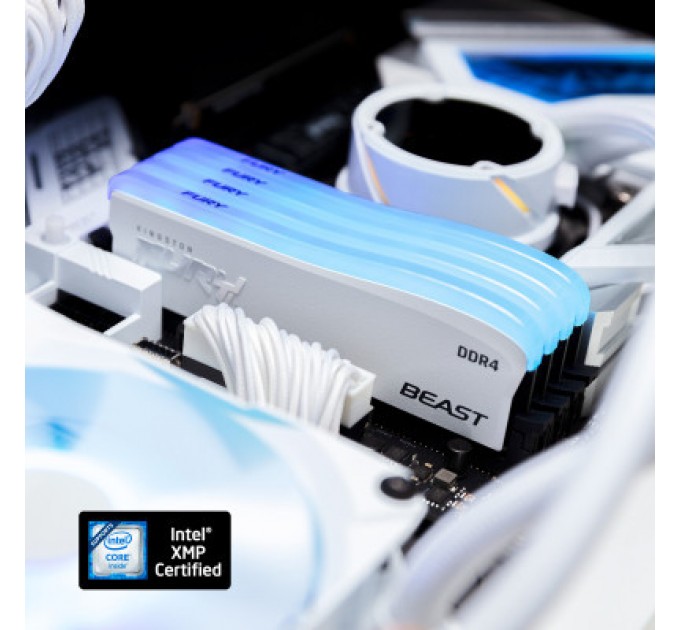 Kingston Fury (ex.HyperX) Модуль пам'яті для комп'ютера DDR4 32GB (2x16GB) 3600 MHz Beast White RGB SE Kingston Fury (ex.HyperX) (KF436C18BWAK2/32)