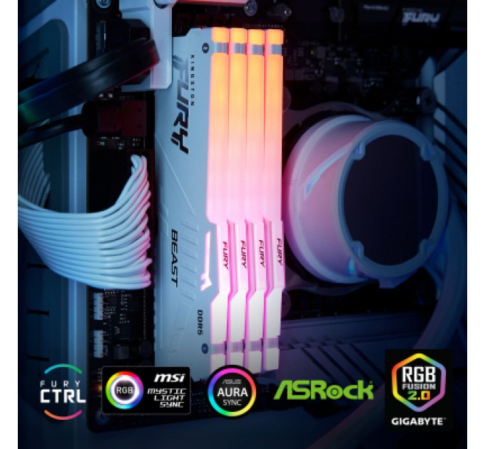 Kingston Fury (ex.HyperX) Модуль пам'яті для комп'ютера DDR5 32GB 6000 MHz Beast AM5 RGB White Kingston Fury (ex.HyperX) (KF560C36BWEA-32)