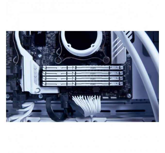 Kingston Fury (ex.HyperX) Модуль пам'яті для комп'ютера DDR5 64GB (2x32GB) 5600 MHz Beast White EXPO Kingston Fury (ex.HyperX) (KF556C36BWEK2-64)