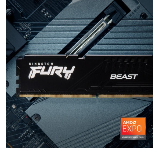 Kingston Fury (ex.HyperX) Модуль пам'яті для комп'ютера DDR5 16GB (2x8GB) 5600 MHz Beast Kingston Fury (ex.HyperX) (KF556C36BBEK2-16)