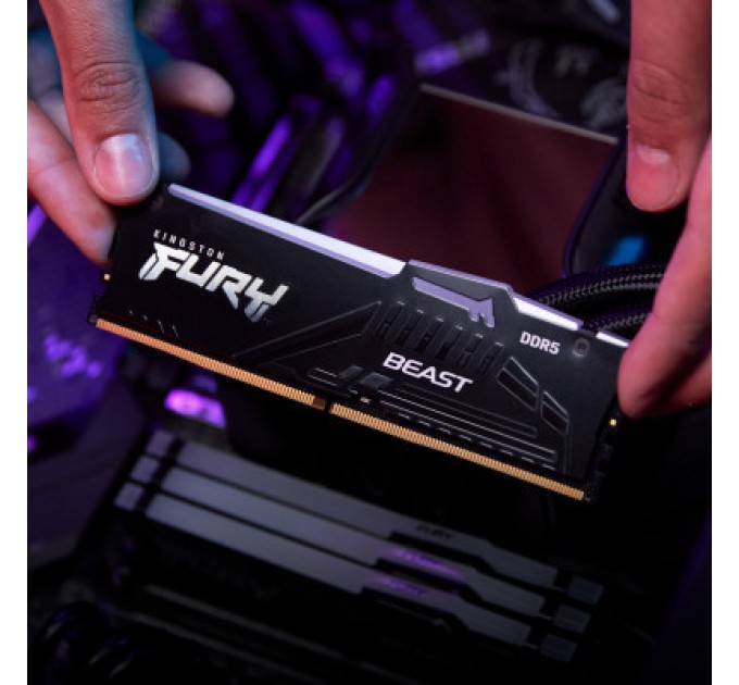 Kingston Fury (ex.HyperX) Модуль пам'яті для комп'ютера DDR5 32GB 5200 MHz Beast RGB EXPO Kingston Fury (ex.HyperX) (KF552C36BBEA-32)