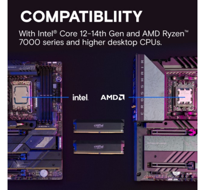 Micron Модуль пам'яті для комп'ютера DDR5 16GB 6000 MHz Pro Overclocking Micron (CP16G60C36U5B)