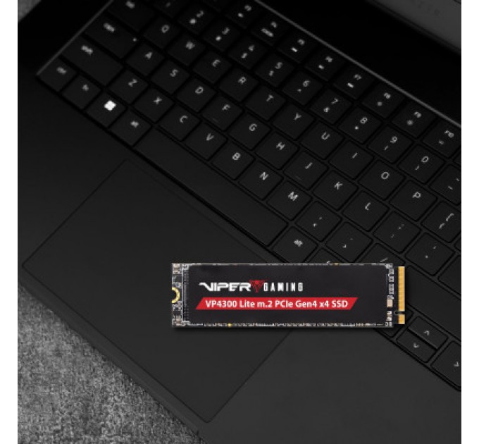 Patriot Накопичувач SSD M.2 2280 4TB VP4300L Patriot (VP4300L4TBM28H)