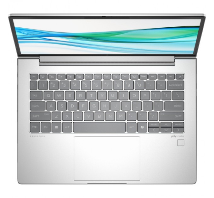 HP Ноутбук HP Probook 445 G11 (8Z9P7AV)
