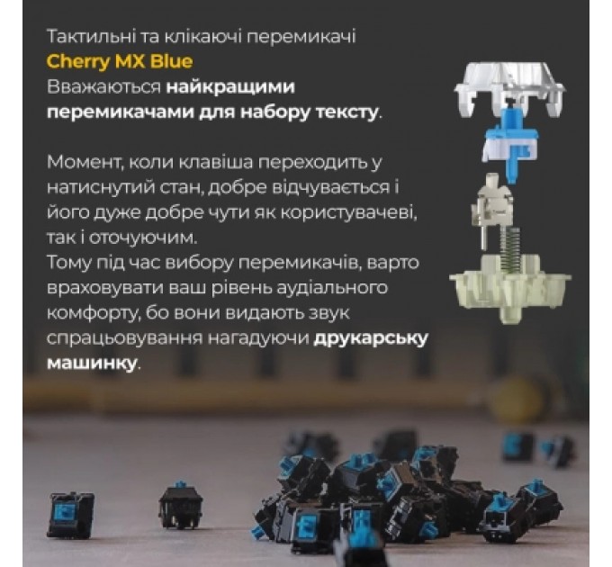 Ducky Клавіатура Ducky One 3 Cherry MX Blue RGB UA USB Black (DKON2108ST-CUAPXCLAWSC1)