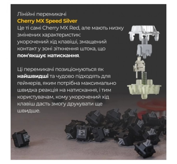 Ducky Клавіатура Ducky One 3 Mini Cherry MX Speed Silver RGB UA USB Black (DKON2161ST-PUAPXCLAWSC1)