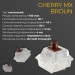 Ducky Клавіатура Ducky One 3 TKL Cherry MX Brown UA USB Cream (DKON2187-BUAPXМAEGGC1)
