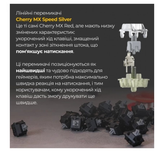 Ducky Клавіатура Ducky One 3 TKL Cherry MX Speed Silver RGB UA USB Black (DKON2187ST-PUAPXCLAWSC1)