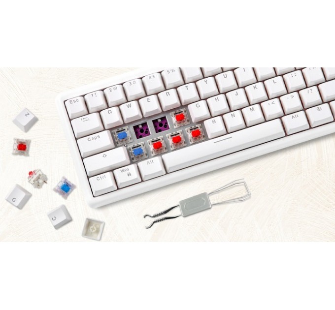 Motospeed Клавиатура беспроводная Motospeed SK66 Gateron Blue Hot Swap White (mtsk66wmb)