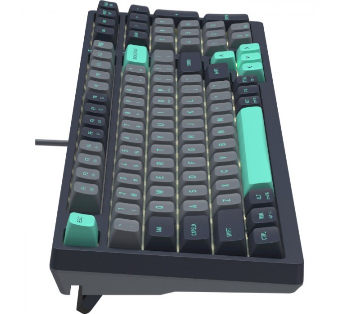 A4Tech Клавиатура A4Tech Fstyler FS300 Panda Rock Climbing