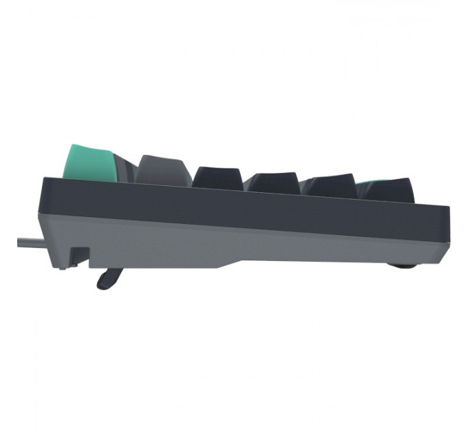 A4Tech Клавиатура A4Tech Fstyler FS300 Panda Rock Climbing