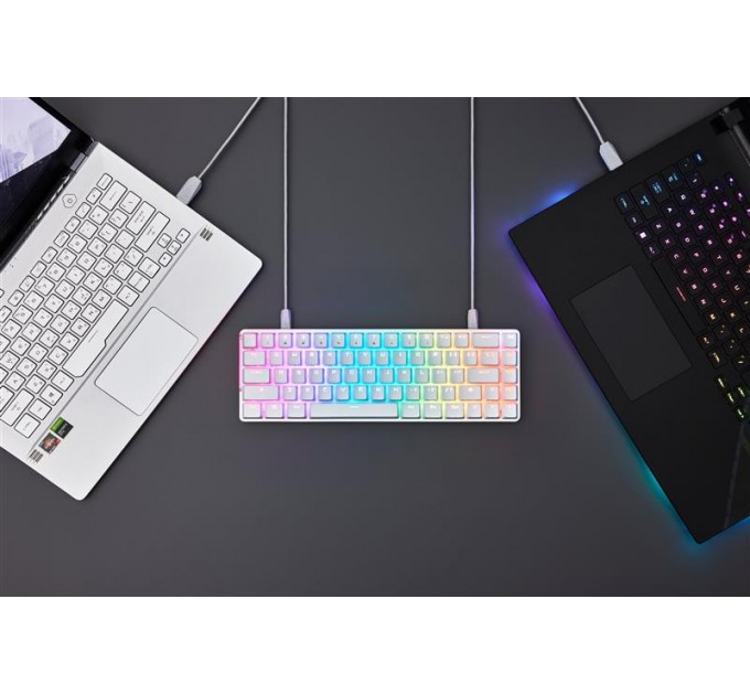 ASUS Клавиатура Asus ROG Falchion Ace LED 68key NX RD White (90MP0346-BKUA11)