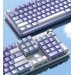 Aula Клавіатура Aula Mechanical F2088 PRO White/Violet, plus 9 Purple keys KRGD blue (6948391234915)