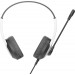 A4Tech Гарнитура A4Tech FH100U Panda