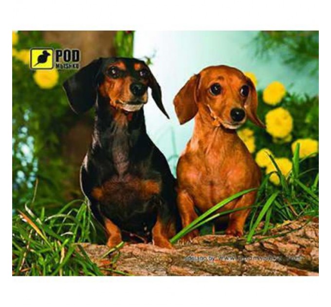 Podmyshku Коврик для мыши Podmyshku Таксы