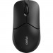 Rapoo Мишка Rapoo 1510 Wireless Black (1510 Black)