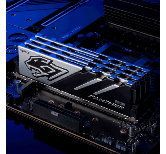 Apacer Модуль пам'яті для комп'ютера DDR5 32GB (2x16GB) 6000 MHz Panther Apacer (AH5U32G60C5127BAA-2)