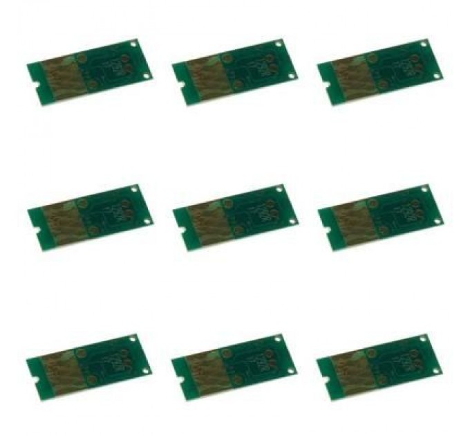 WWM Чип для картриджа НПК Epson Stylus SX525WD/Office BX625FWD Magenta WWM (CR.T1293)