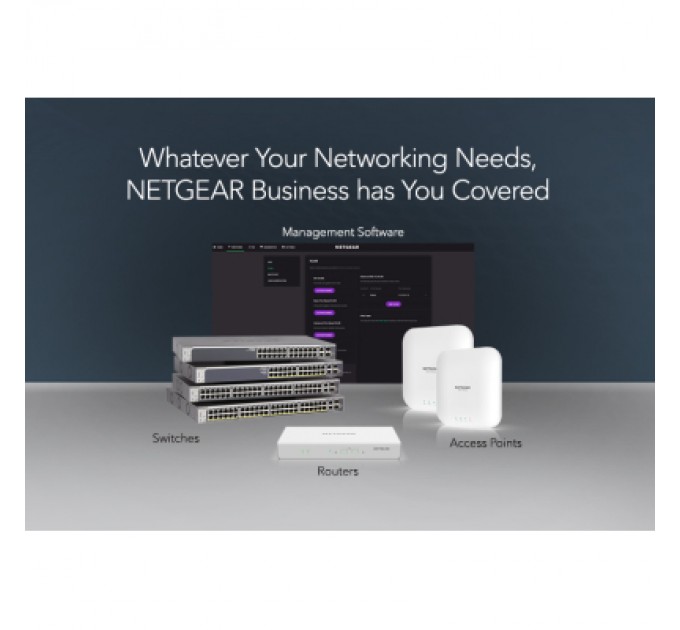 Netgear Комутатор мережевий Netgear GS324-200EUS