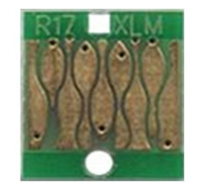 WWM Чип для картриджа НПК Epson Expression Home XP-306/XP-313/XP-413 Magenta WWM (CR.T1703N)