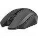 Trust Мишка Trust GXT 115 Macci wireless gaming mouse (22417)
