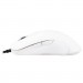 Dream Machines Мишка Dream Machines DM1 FPS Blizzard White (DM1FPS_WHITE)