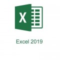 Microsoft Офісний додаток Microsoft Excel 2019 Sngl OLP NL (065-08677)