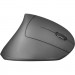 Trust Мишка Trust Verto Wireless Ergonomic Black (22879)