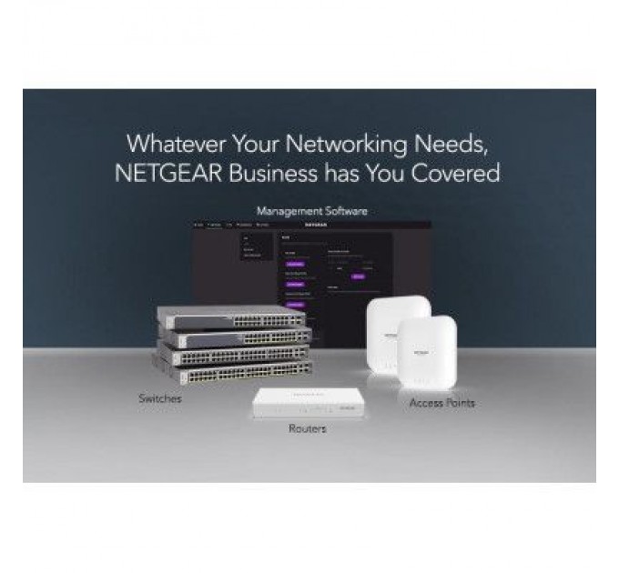 Netgear Комутатор мережевий Netgear GS348-100EUS